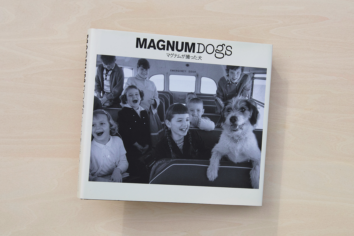 MAGNUM DOGS マグナムが撮った犬